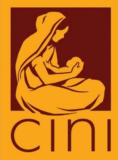 CINI logo