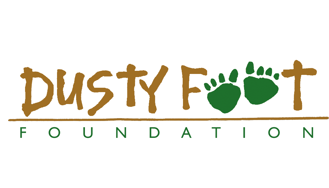 LogoAmbuja Foundation